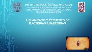 AISLAMIENTO Y RECUENTO DE
BACTERIAS ANAEROBIAS
INSTITUTO POLITÉCNICO NACIONAL
ESCUELA NACIONAL DE CIENCIAS BIOLÓGICAS
DEPARTAMENTO DE MICROBIOLOGÍA GENERAL
MICROBIOLOGÍA GENERAL
 