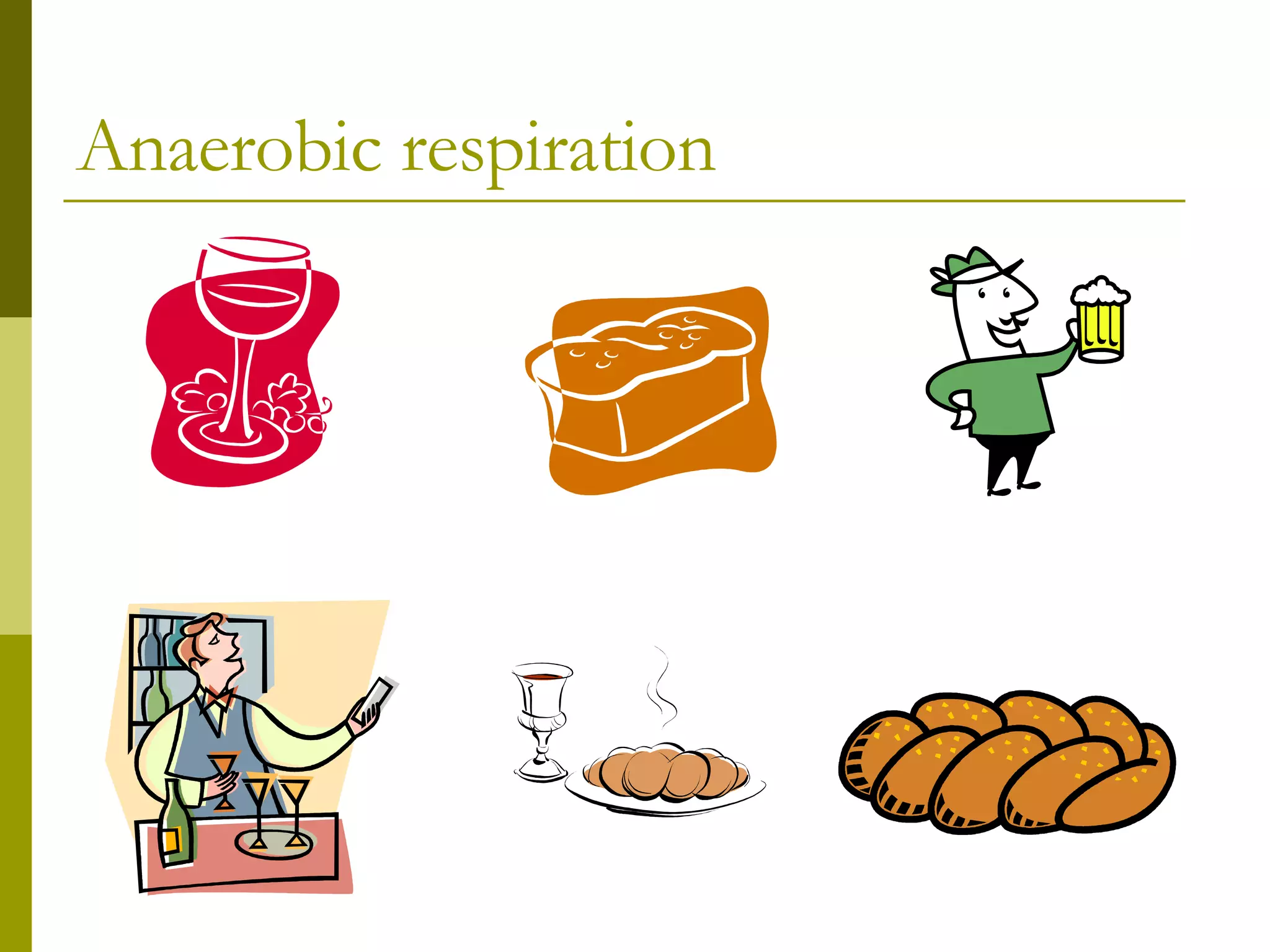 Anaerobic Respiration | PPT