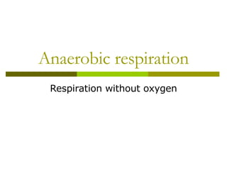 Anaerobic respiration Respiration without oxygen 