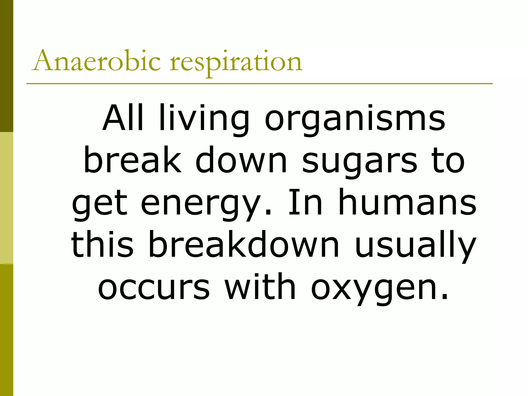 Anaerobic respiration 2 | PPTX