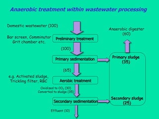 Anaerobic treatment within wastewater processing
Domestic wastewater (100)
Preliminary treatment
Bar screen, Comminutor
Gr...