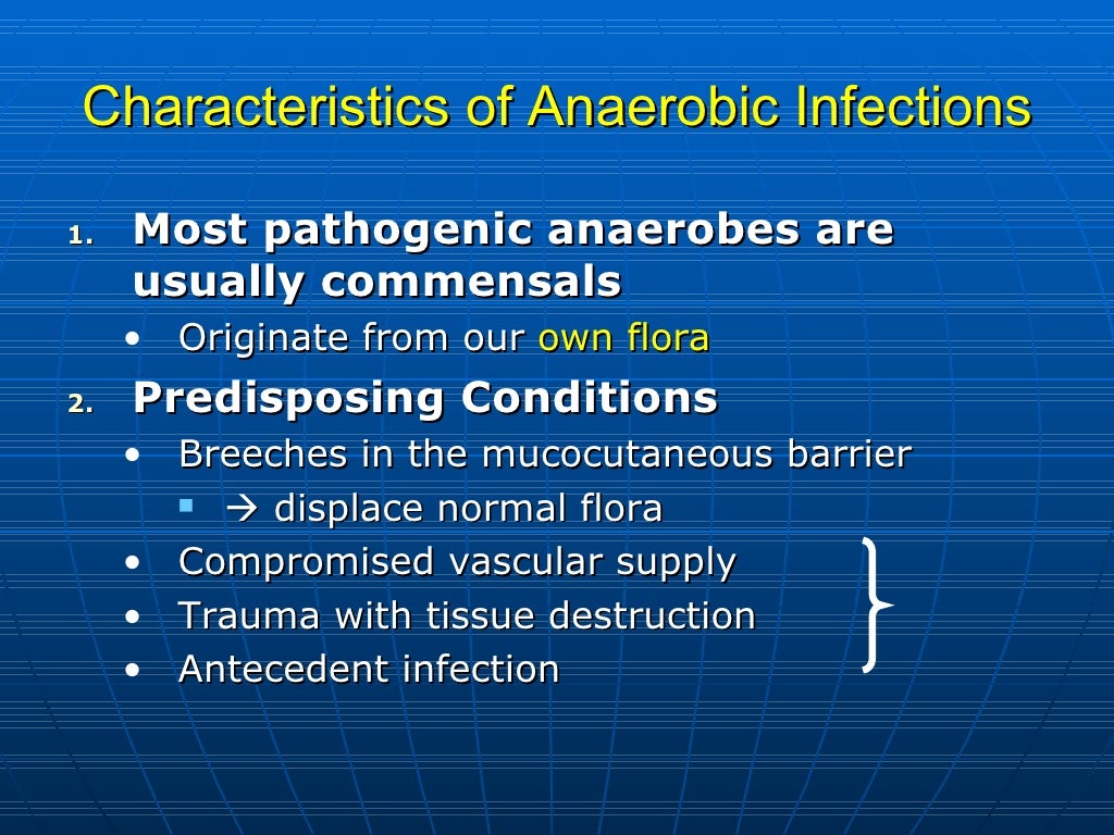 anaerobic bacteria shapes