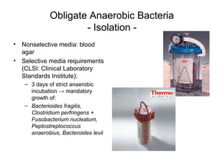 Obligate Anaerobic Bacteria
- Isolation -
• Nonselective media: blood
agar
• Selective media requirements
(CLSI: Clinical Laboratory
Standards Institute):
– 3 days of strict anaerobic
incubation → mandatory
growth of:
– Bacterioides fragilis,
Clostridium perfringens +
Fusobacterium nucleatum,
Peptostreptococcus
anaerobius, Bacteroides levii
 