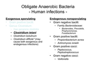 Obligate Anaerobic Bacteria
- Human infections -
Exogenous sporulating
• Gram positive bacilli:
• Genus Clostridium:
– Gas gangrene clostridia
– Clostridium tetani
– Clostridium botulinum
– Clostridium difficile* (may
cause both exogenous and
endogenous infections)
Endogenous nonsporulating
• Gram negative bacilli:
– Family Bacteroidaceae:
• Bacteroides, Prevotella,
Prophyromonas,
Fusobacterium
• Gram positive bacilli:
– Propionibacterium acnes
– Actinomyces israelii
• Gram positive cocci:
– Peptococcus,
Peptostreptococcus
• Gram negative cocci:
– Veillonella
 