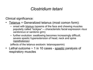 Clostridium tetani
Clinical significance:
• Tetanus = Generalized tetanus (most comon form):
– onset with trismus (spasms of the face and chewing muscles
popularly called “lockjaw”→ characteristic facial expression risus
sardonicus or sardonic grin);
– further evolution: swallowing becomes increasingly difficult;
severe spastic hyperextension of head, neck and spine
(opisthotonos)
(effects of the tetanus exotoxin: tetanospasmin)
• Lethal outcome ~ 1 in 10 cases - spastic paralysis of
respiratory muscles
 