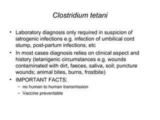 Clostridium tetani
• Laboratory diagnosis only required in suspicion of
iatrogenic infections e.g. infection of umbilical cord
stump, post-partum infections, etc
• In most cases diagnosis relies on clinical aspect and
history (tetanigenic circumstances e.g. wounds
contaminated with dirt, faeces, saliva, soil; puncture
wounds; animal bites, burns, frostbite)
• IMPORTANT FACTS:
– no human to human transmission
– Vaccine preventable
 