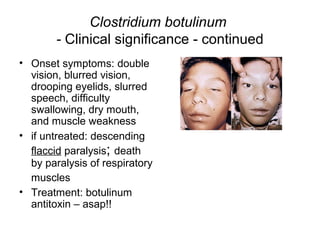 Clostridium botulinum
- Clinical significance - continued
• Onset symptoms: double
vision, blurred vision,
drooping eyelids, slurred
speech, difficulty
swallowing, dry mouth,
and muscle weakness
• if untreated: descending
flaccid paralysis; death
by paralysis of respiratory
muscles
• Treatment: botulinum
antitoxin – asap!!
 