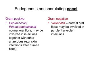 Endogenous nonsporulating cocci
Gram positive
• Peptococcus,
Peptostreptococcus –
normal oral flora; may be
involved in infections
together with other
anaerobes (e.g. skin
infections after human
bites)
Gram negative
• Veillonella – normal oral
flora; may be involved in
purulent alveolar
infections
 