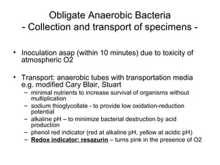 Obligate Anaerobic Bacteria
- Collection and transport of specimens -
• Inoculation asap (within 10 minutes) due to toxicity of
atmospheric O2
• Transport: anaerobic tubes with transportation media
e.g. modified Cary Blair, Stuart
– minimal nutrients to increase survival of organisms without
multiplication
– sodium thioglycollate - to provide low oxidation-reduction
potential
– alkaline pH – to minimize bacterial destruction by acid
production
– phenol red indicator (red at alkaline pH, yellow at acidic pH)
– Redox indicator: resazurin – turns pink in the presence of O2
 