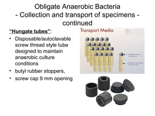 Obligate Anaerobic Bacteria
- Collection and transport of specimens -
continued
“Hungate tubes”:
• Disposable/autoclavable
screw thread style tube
designed to maintain
anaerobic culture
conditions
• butyl rubber stoppers,
• screw cap 9 mm opening
 