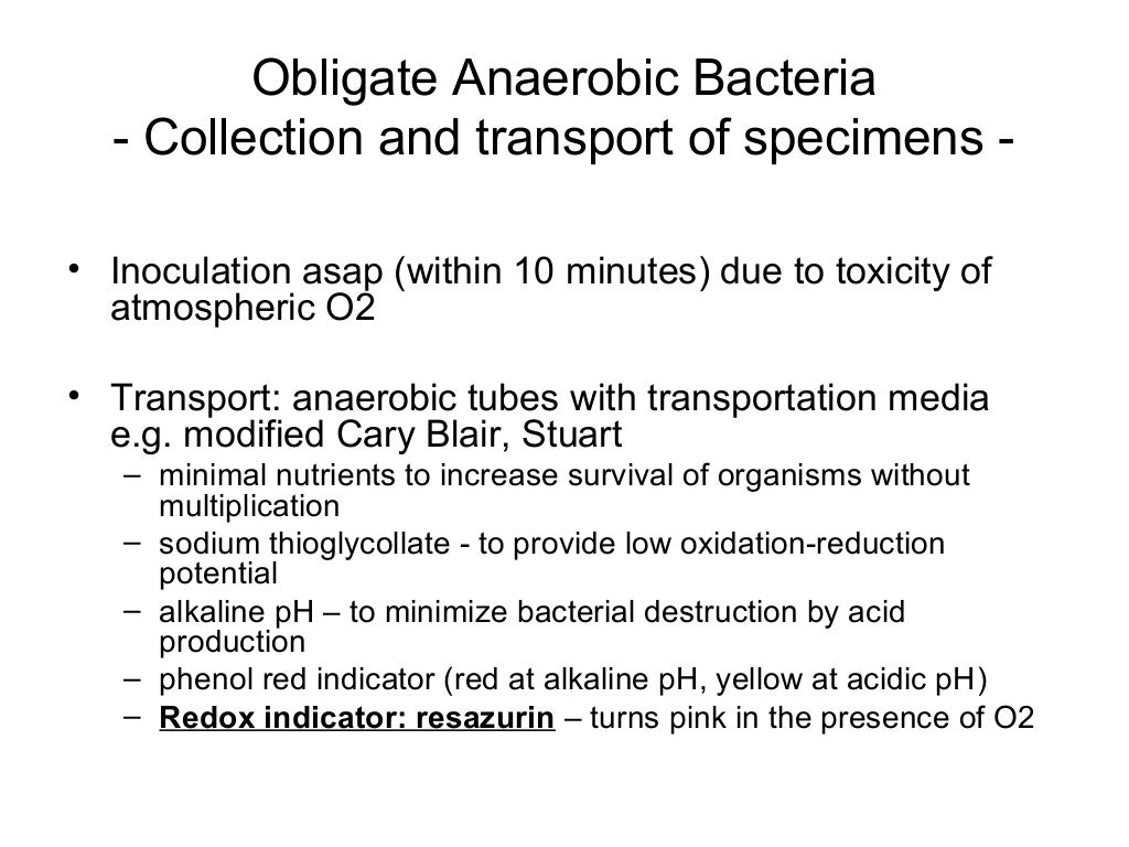 Anaerobic bacteria