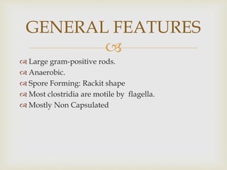 
 Large gram-positive rods.
 Anaerobic.
 Spore Forming: Rackit shape
 Most clostridia are motile by flagella.
 Mostly Non Capsulated
GENERAL FEATURES
 