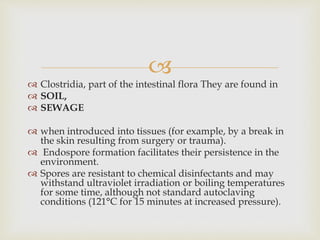 
 Clostridia, part of the intestinal flora They are found in
 SOIL,
 SEWAGE
 when introduced into tissues (for example, by a break in
the skin resulting from surgery or trauma).
 Endospore formation facilitates their persistence in the
environment.
 Spores are resistant to chemical disinfectants and may
withstand ultraviolet irradiation or boiling temperatures
for some time, although not standard autoclaving
conditions (121°C for 15 minutes at increased pressure).
 