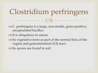 
 C. perfringens is a large, non-motile, gram-positive,
encapsulated bacillus.
 It is ubiquitous in nature
 Its vegetative form as part of the normal flora of the
vagina and gastrointestinal (GI) tract.
 Its spores are found in soil
Clostridium perfringens
 