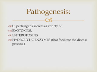 
 C. perfringens secretes a variety of
 EXOTOXINS,
 ENTEROTOXINS
 HYDROLYTIC ENZYMES (that facilitate the disease
process )
Pathogenesis:
 