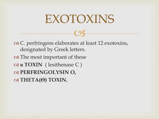 
 C. perfringens elaborates at least 12 exotoxins,
designated by Greek letters.
 The most important of these
 α TOXIN ( lesithenase C )
 PERFRINGOLYSIN O,
 THETA(Θ) TOXIN,
EXOTOXINS
 
