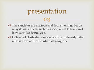 
 The exudates are copious and foul smelling. Leads
in systemic effects, such as shock, renal failure, and
intravascular hemolysis.
 Untreated clostridial myonecrosis is uniformly fatal
within days of the initiation of gangrene
presentation
 