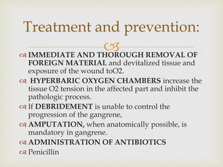  IMMEDIATE AND THOROUGH REMOVAL OF
FOREIGN MATERIAL and devitalized tissue and
exposure of the wound toO2.
 HYPERBARIC OXYGEN CHAMBERS increase the
tissue O2 tension in the affected part and inhibit the
pathologic process.
 If DEBRIDEMENT is unable to control the
progression of the gangrene,
 AMPUTATION, when anatomically possible, is
mandatory in gangrene.
 ADMINISTRATION OF ANTIBIOTICS
 Penicillin
Treatment and prevention:
 