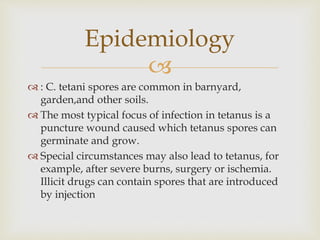 
 : C. tetani spores are common in barnyard,
garden,and other soils.
 The most typical focus of infection in tetanus is a
puncture wound caused which tetanus spores can
germinate and grow.
 Special circumstances may also lead to tetanus, for
example, after severe burns, surgery or ischemia.
Illicit drugs can contain spores that are introduced
by injection
Epidemiology
 