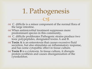 
 C. difficile is a minor component of the normal flora of
the large intestine.
 When antimicrobial treatment suppresses more
predominant species in this community,
 C. difficile proliferates Pathogenic strains produce two
toxic polypeptides, designated toxins A and B.
 Toxin A is an enterotoxin that causes excessive fluid
secretion, but also stimulates an inflammatory response,
and has some cytopathic effect in tissue culture.
 Toxin B is a cytotoxin. In tissue culture, it disrupts
protein synthesis and causes disorganization of the
cytoskeleton.
1. Pathogenesis
 
