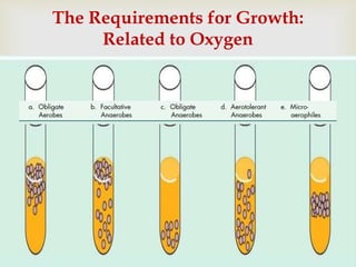  Oxygen (O2)
Dr.T.V.Rao MD 8
The Requirements for Growth:
Related to Oxygen
Table 6.1
 