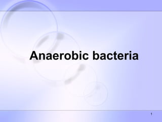 Anaerobic bacteria



                     1
 