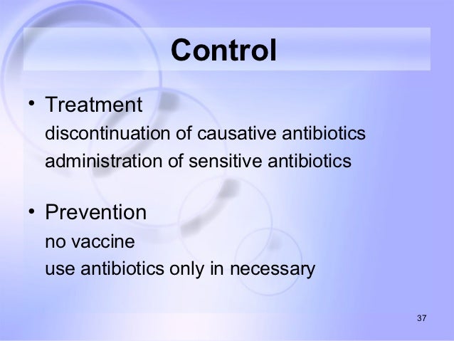 Anaerobic bacteria spring 2011