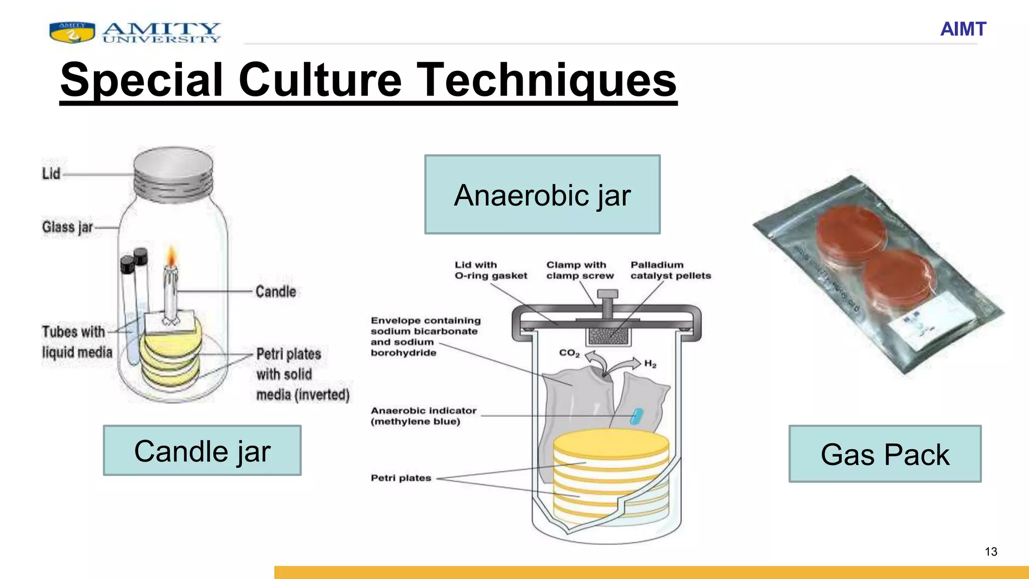 Anaerobic Bacteria types and its cultivation- Aditi Kar.pptx