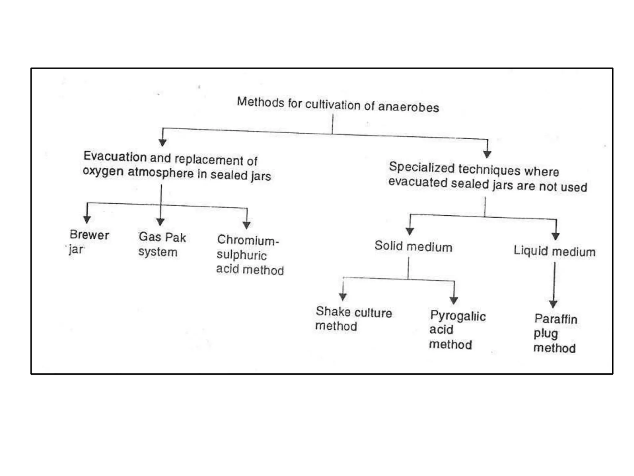 Anaerobic cultivation of bacteria class all.pptx