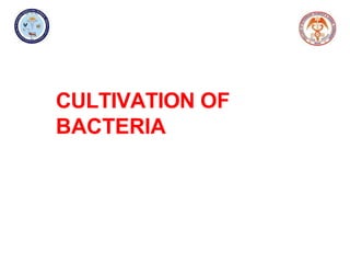CULTIVATION OF
BACTERIA
 