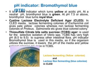 Anaerobic cultivation of bacteria class all.pptx
