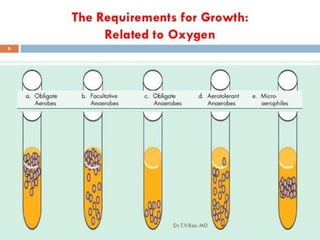 ANAEROBIC CULTURE METHODS.pptx for education | PPTX