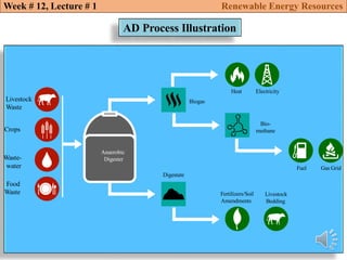 Anaerobic digestion (ad) of biomass renewable energy resources | PDF