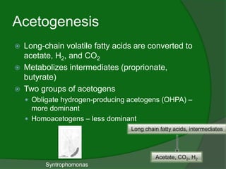 Acetogenesis
 Long-chain volatile fatty acids are converted to
acetate, H2, and CO2
 Metabolizes intermediates (proprion...