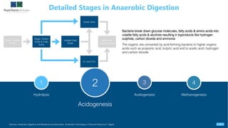 Anaerobic digestion | PDF