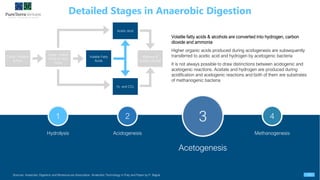 Anaerobic digestion | PDF