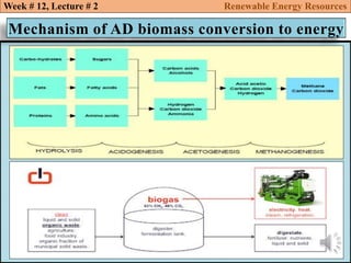 Anaerobic digestion to biogas renewable energy resources def | PDF