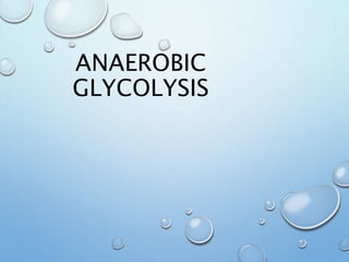 ANAEROBIC
GLYCOLYSIS
 