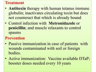 Treatment
• Antitoxin therapy with human tetanus immune
globulin; inactivates circulating toxin but does
not counteract that which is already bound
• Control infection with Metronidazole or
penicillin; and muscle relaxants to control
spasms
Prevention
• Passive immunization in case of patients with
wounds contaminated with soil or foreign
bodies.
• Active immunization: Vaccine available DTaP;
booster doses needed every 10 years
for neutralization early before it reaches the motor plate
before infection
after infection + needs antitoxin because it doesn't have a role in
the infection its only used for future exposure
D – Diphtheria
T – Tetanus
aP – acellular Pertussis
''The Triple Vaccine''
 