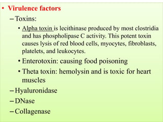 • Virulence factors
–Toxins:
• Alpha toxin is lecithinase produced by most clostridia
and has phospholipase C activity. This potent toxin
causes lysis of red blood cells, myocytes, fibroblasts,
platelets, and leukocytes.
• Enterotoxin: causing food poisoning
• Theta toxin: hemolysin and is toxic for heart
muscles
–Hyaluronidase
–DNase
–Collagenase
(breaks down lecithin)
(fatal)
breaks down hyaluronidase
breaks down DNA
breaks down collagen
 