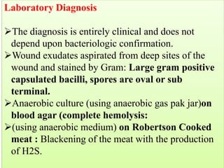 Laboratory Diagnosis
➢The diagnosis is entirely clinical and does not
depend upon bacteriologic confirmation.
➢Wound exudates aspirated from deep sites of the
wound and stained by Gram: Large gram positive
capsulated bacilli, spores are oval or sub
terminal.
➢Anaerobic culture (using anaerobic gas pak jar)on
blood agar (complete hemolysis:
➢(using anaerobic medium) on Robertson Cooked
meat : Blackening of the meat with the production
of H2S.
(because it takes too long)
tetani : spores are terminal (at the end).
(due to the breakdown of protein)
(indicator that the clostridium is proteolytic)
 