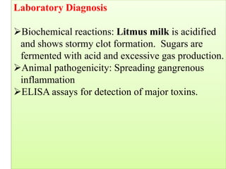 Laboratory Diagnosis
➢Biochemical reactions: Litmus milk is acidified
and shows stormy clot formation. Sugars are
fermented with acid and excessive gas production.
➢Animal pathogenicity: Spreading gangrenous
inflammation
➢ELISA assays for detection of major toxins.
When the bacteria is cultured on litmus milk it breaks down the
lactose producing acid which will turn the litmus red
(injecting the microorganism into the animal)
 