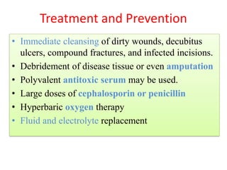 Treatment and Prevention
• Immediate cleansing of dirty wounds, decubitus
ulcers, compound fractures, and infected incisions.
• Debridement of disease tissue or even amputation
• Polyvalent antitoxic serum may be used.
• Large doses of cephalosporin or penicillin
• Hyperbaric oxygen therapy
• Fluid and electrolyte replacement
(removal of dead cells)
(no vaccine/immunization)
 