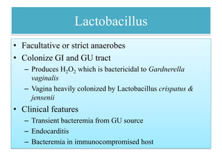 Lactobacillus
• Facultative or strict anaerobes
• Colonize GI and GU tract
– Produces H2O2 which is bactericidal to Gardnerella
vaginalis
– Vagina heavily colonized by Lactobacillus crispatus &
jensenii
• Clinical features
– Transient bacteremia from GU source
– Endocarditis
– Bacteremia in immunocompromised host
 