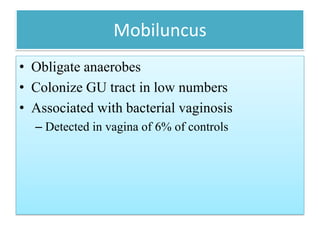 Mobiluncus
• Obligate anaerobes
• Colonize GU tract in low numbers
• Associated with bacterial vaginosis
– Detected in vagina of 6% of controls
 