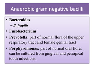 Anaerobic gram negative bacilli
• Bacteroides
– B. fragilis
• Fusobacterium
• Prevotella: part of normal flora of the upper
respiratory tract and female genital tract
• Porphyromonas: part of normal oral flora,
can be cultured from gingival and periapical
tooth infections.
 