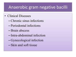Anaerobic gram negative bacilli
• Clinical Diseases
–Chronic sinus infections
–Periodontal infections
–Brain abscess
–Intra-abdominal infection
–Gynecological infection
–Skin and soft tissue
 