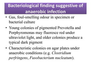 Bacteriological finding suggestive of
anaerobic infection
• Gas, foul-smelling odour in specimen or
bacterial culture
• Young colonies of pigmented Prevotella and
Porphyromonas may fluoresce red under
ultraviolet light, and older colonies produce a
typical dark pigment
• Characteristic colonies on agar plates under
anaerobic conditions (e.g. Clostridium
perfringens, Fusobacterium nucleatum).
 