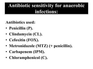 Antibiotic sensitivity for anaerobic
infections:
Antibiotics used:
• Penicillin (P).
• Clindamycin (CL).
• Cefoxitin (FOX).
• Metronidazole (MTZ) (+ penicillin).
• Carbapenem (IPM).
• Chloramphenicol (C).
 