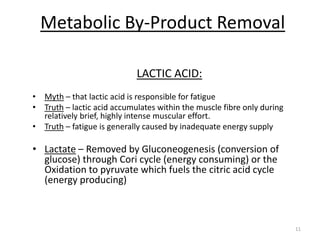 11
Metabolic By-Product Removal
LACTIC ACID:
• Myth – that lactic acid is responsible for fatigue
• Truth – lactic acid accumulates within the muscle fibre only during
relatively brief, highly intense muscular effort.
• Truth – fatigue is generally caused by inadequate energy supply
• Lactate – Removed by Gluconeogenesis (conversion of
glucose) through Cori cycle (energy consuming) or the
Oxidation to pyruvate which fuels the citric acid cycle
(energy producing)
 